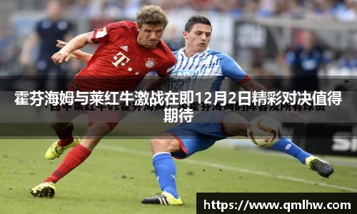 霍芬海姆与莱红牛激战在即12月2日精彩对决值得期待